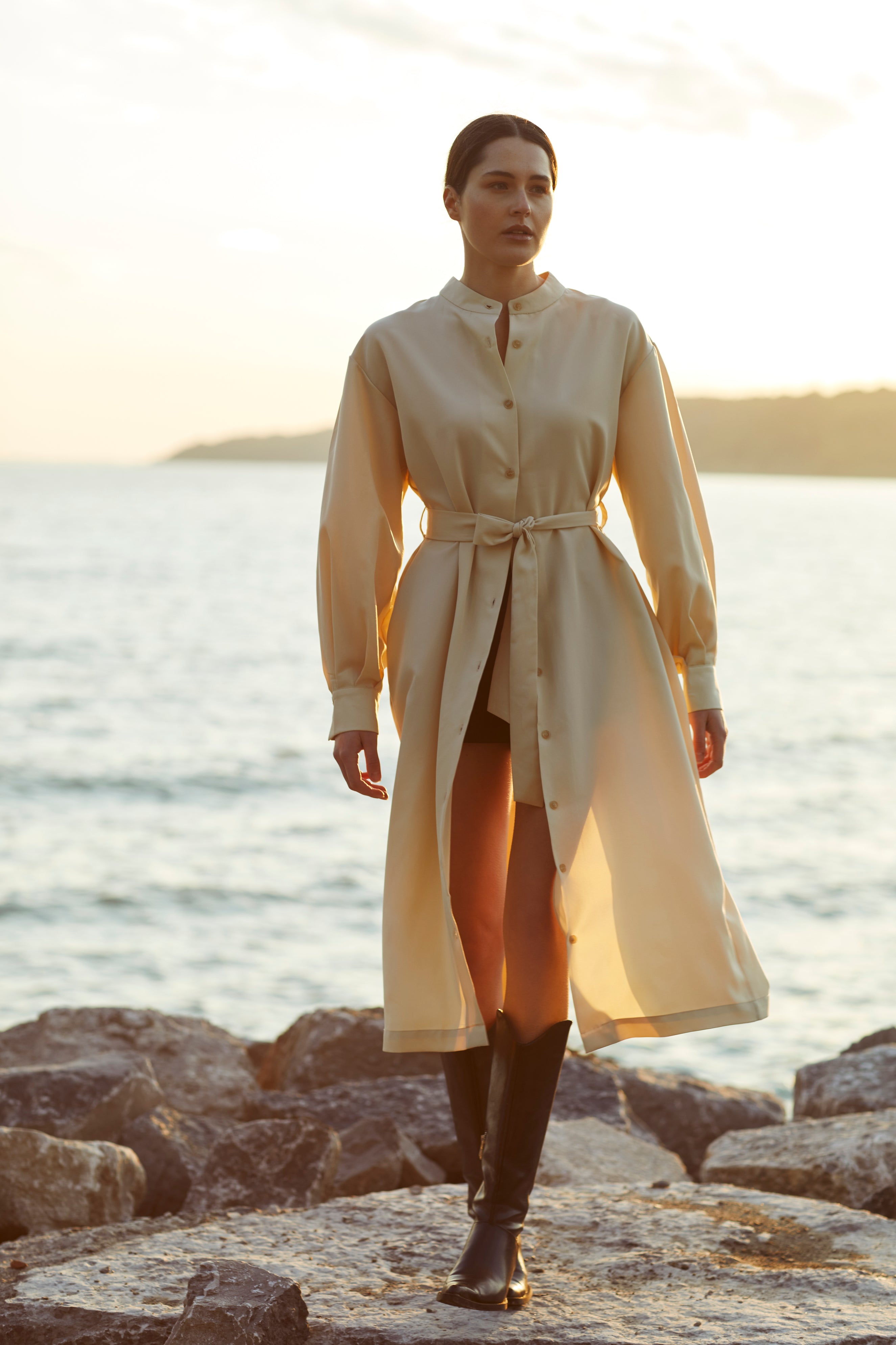 Puff Sleeve Dress