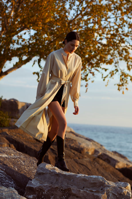 Puff Sleeve Dress